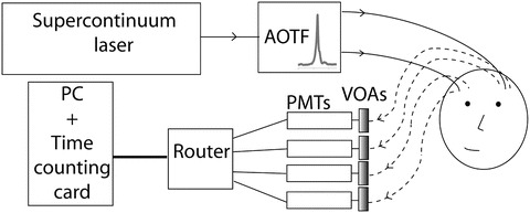 Fig. 24.1