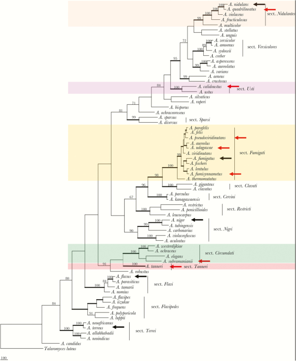 Figure 1.