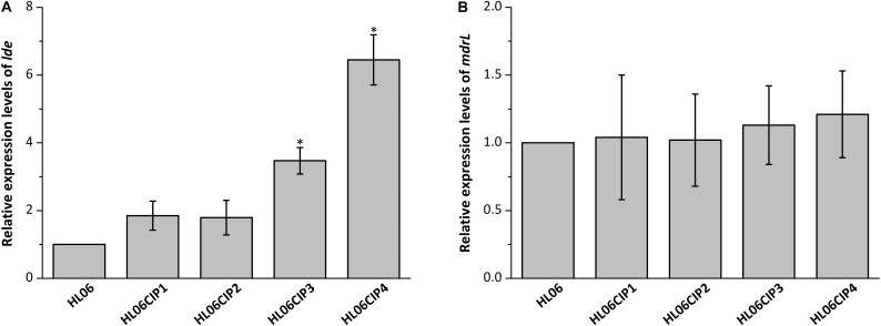 FIGURE 2