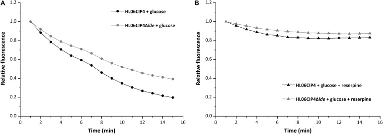 FIGURE 4