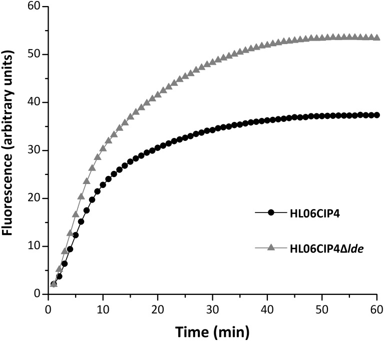 FIGURE 3