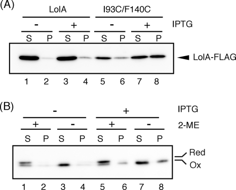 FIG. 5.