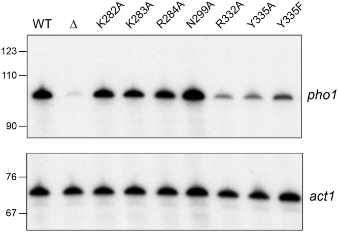 FIG 6