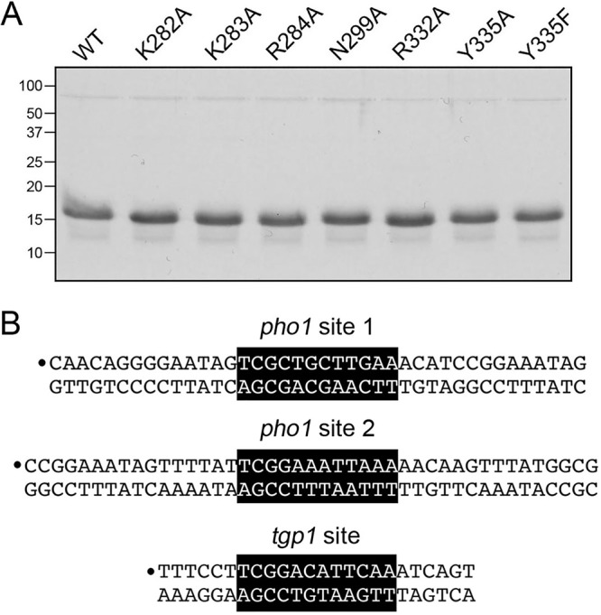 FIG 7