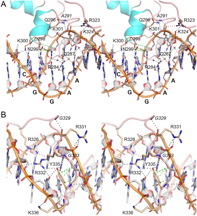 FIG 3