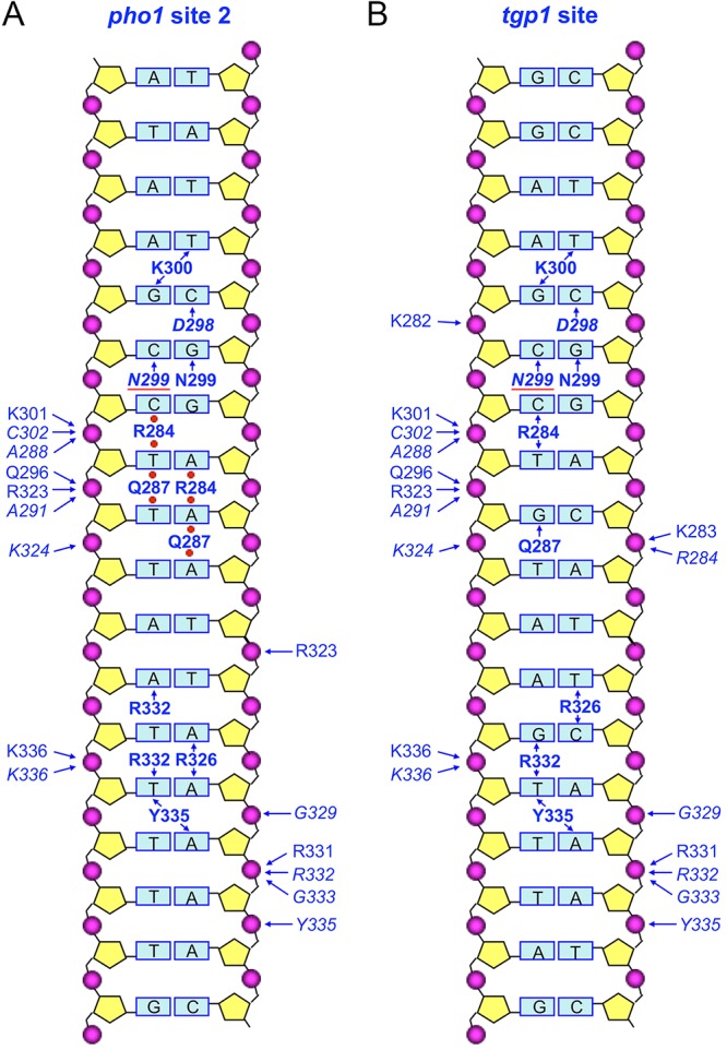 FIG 2