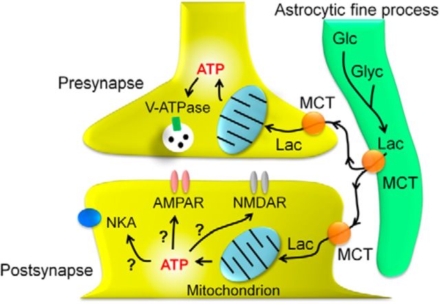 Figure 12.