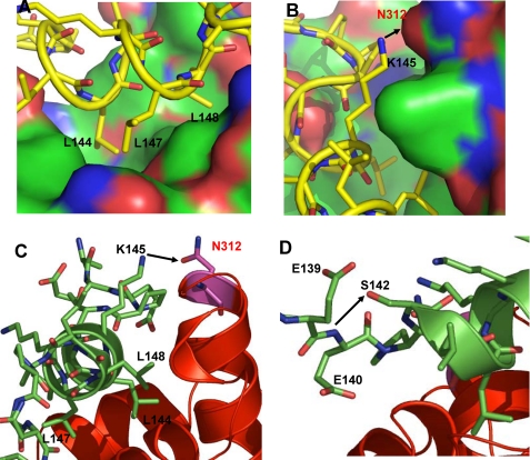 FIGURE 6.