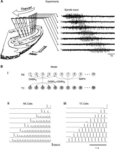 FIG. 7