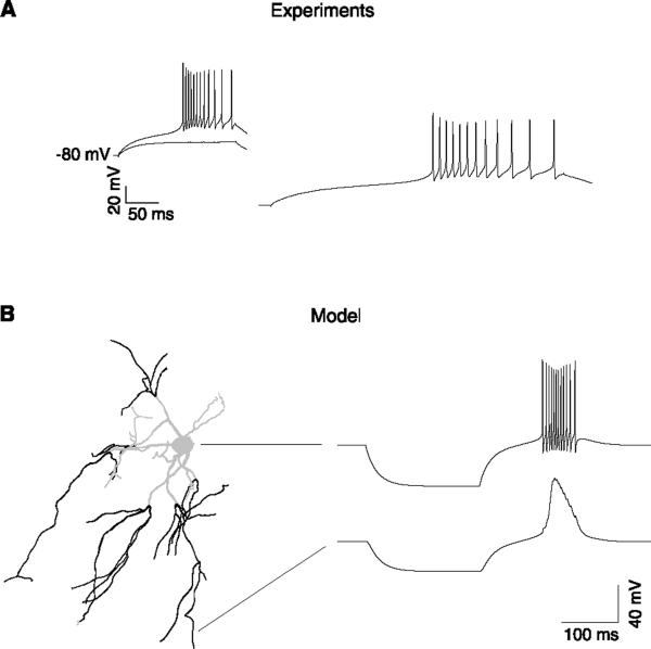 FIG. 4