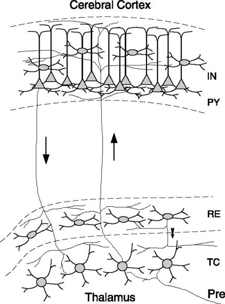 FIG. 1