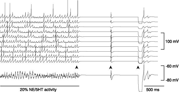 FIG. 9