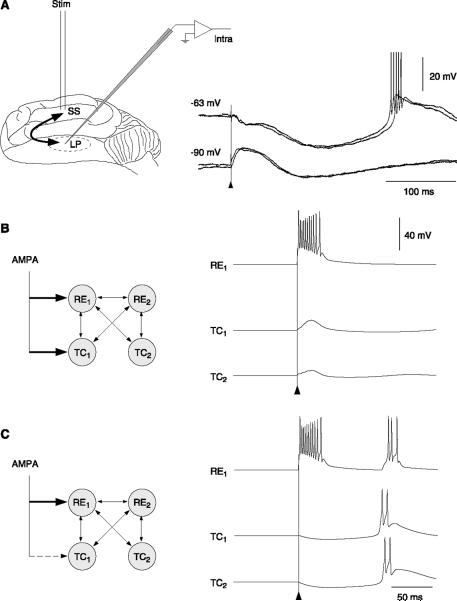 FIG. 11