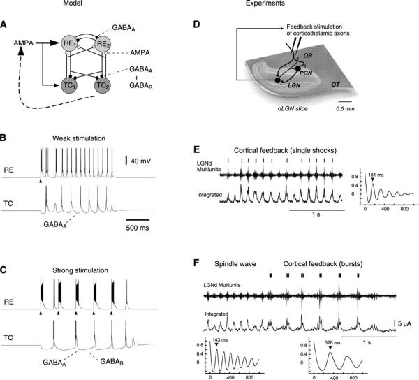 FIG. 16