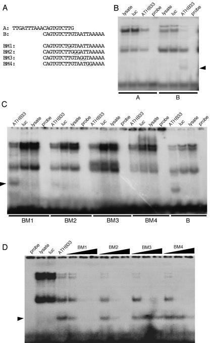 Figure 3.