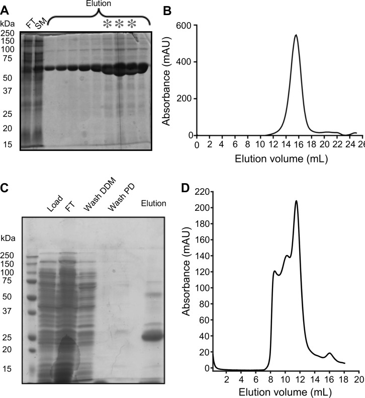 Figure 2—figure supplement 1.