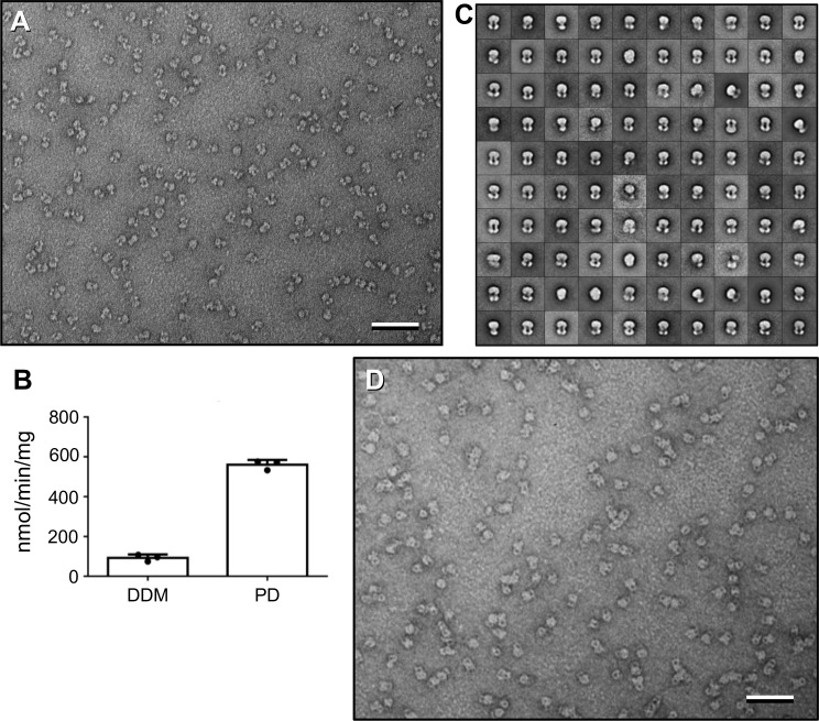 Figure 2—figure supplement 2.