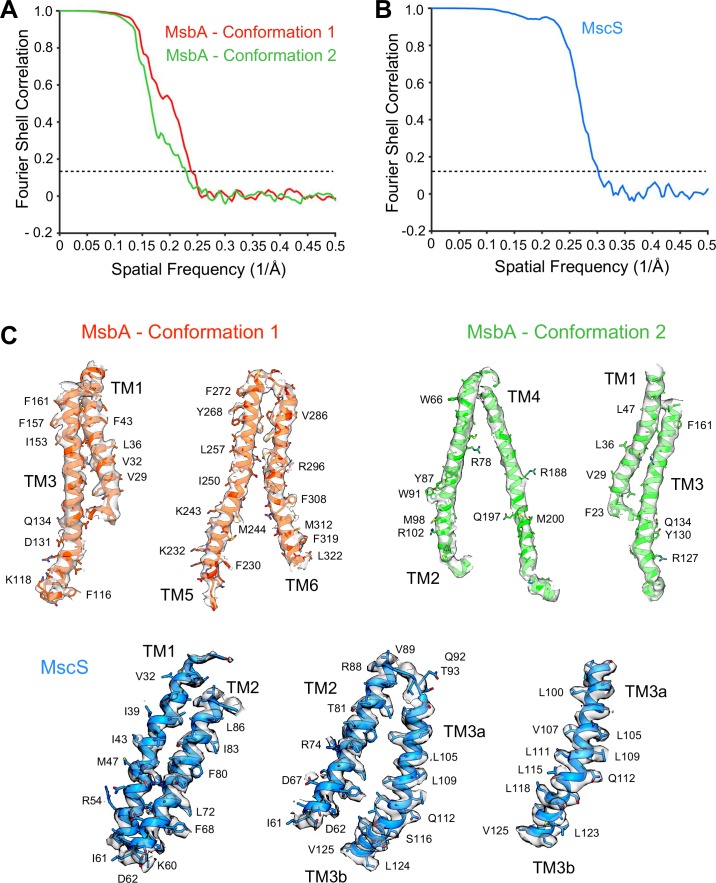 Figure 2—figure supplement 6.