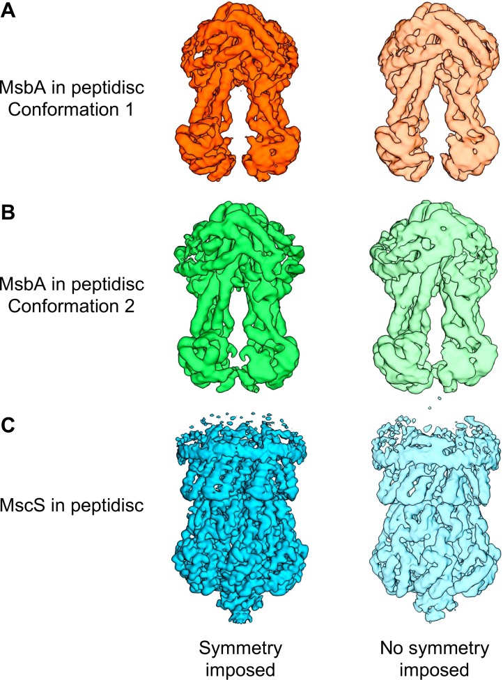 Figure 2—figure supplement 8.