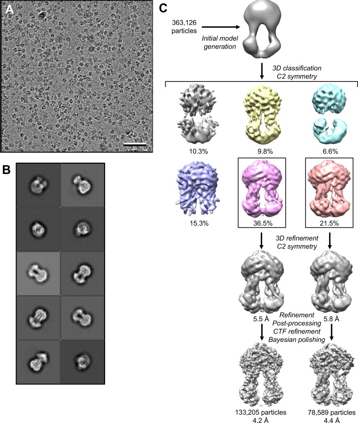 Figure 2—figure supplement 3.