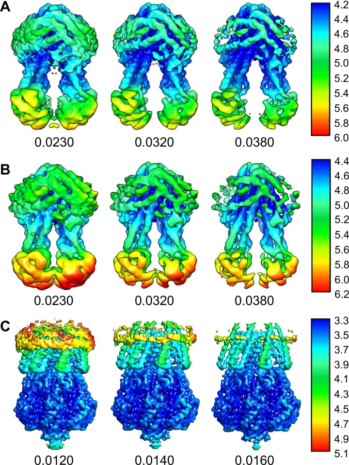 Figure 2—figure supplement 5.