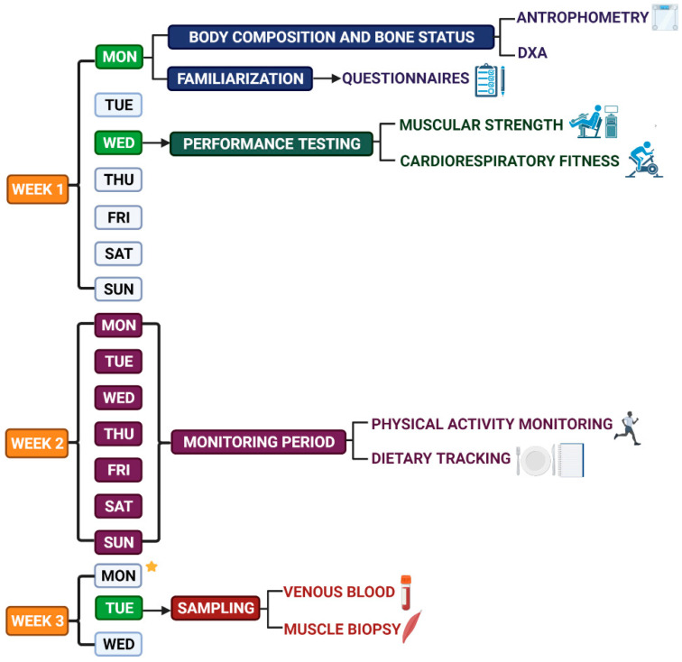 Figure 1