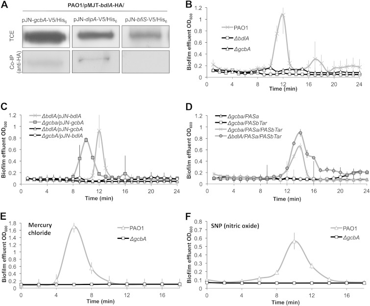 FIG 6