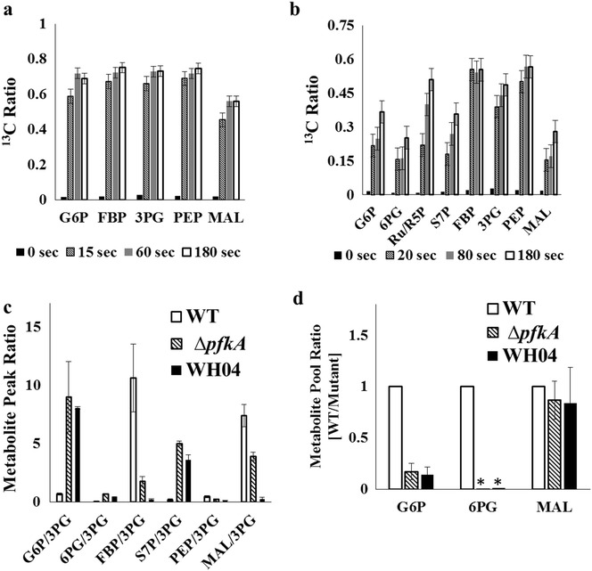 Fig. 4