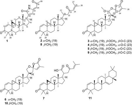 graphic file with name nihms-1016868-f0002.jpg