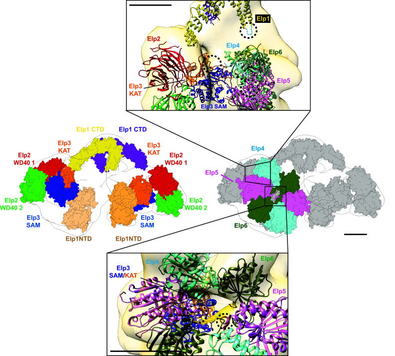 Fig. 2