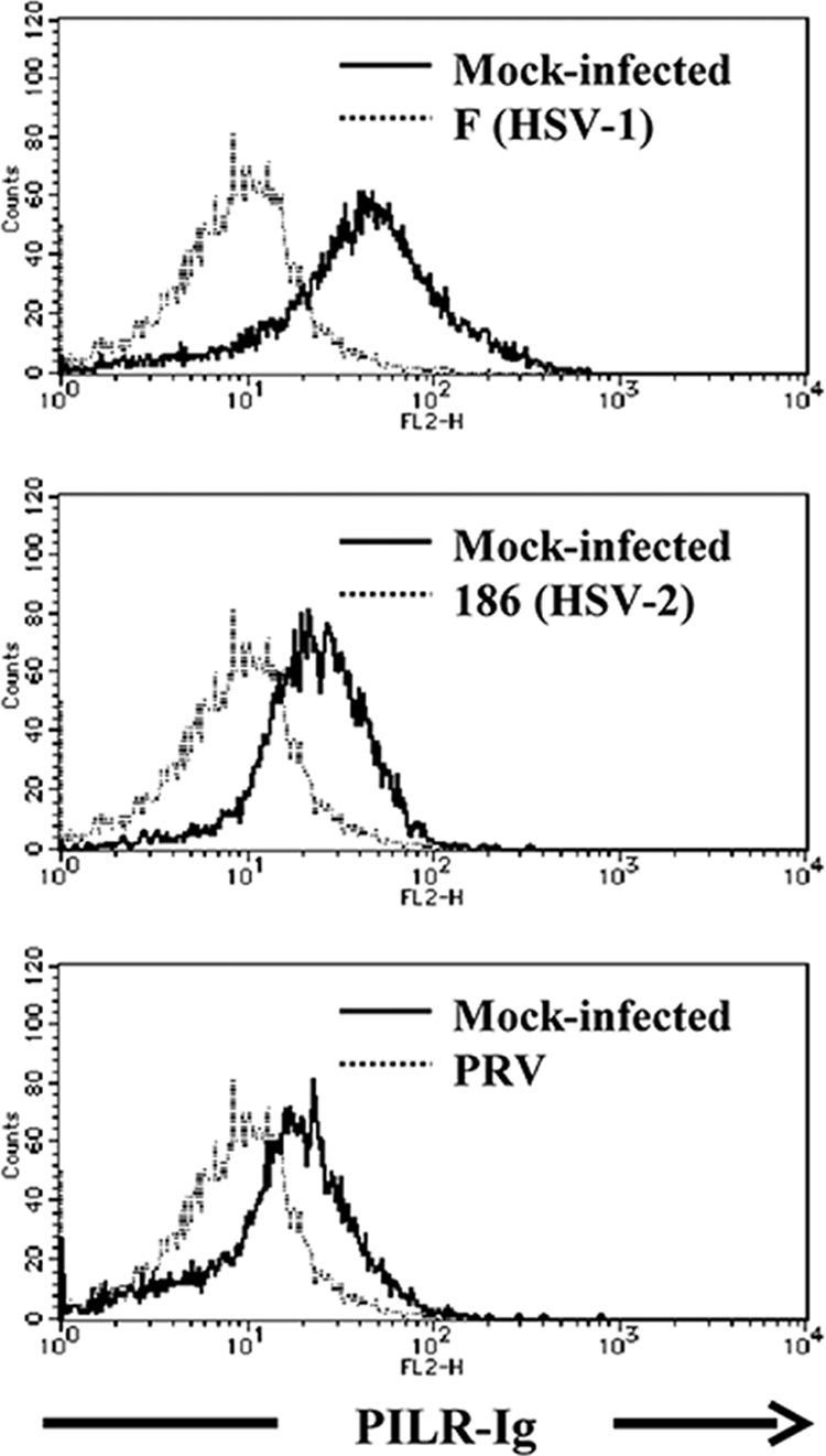 FIG. 6.