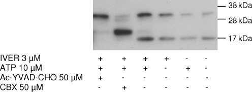 Fig. 9