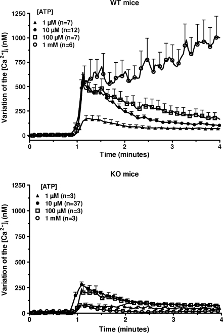 Fig. 1