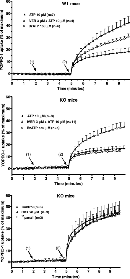 Fig. 7