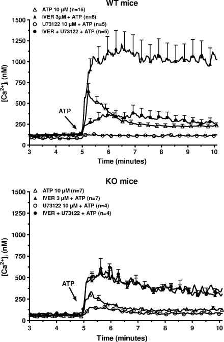 Fig. 2