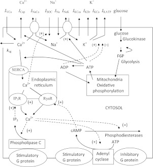 Fig. 1.