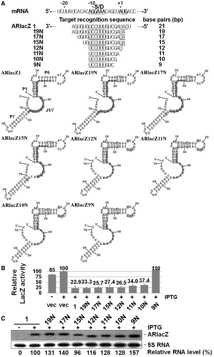 Figure 5.