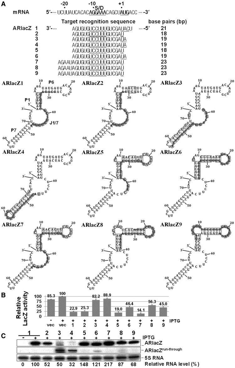 Figure 3.