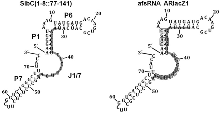 Figure 1.