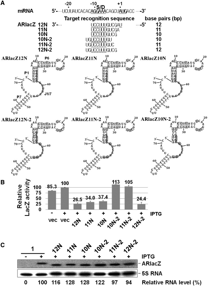 Figure 6.