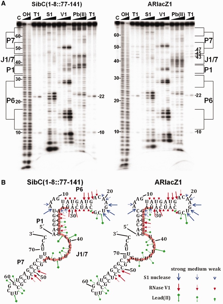 Figure 4.