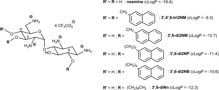 FIG 1