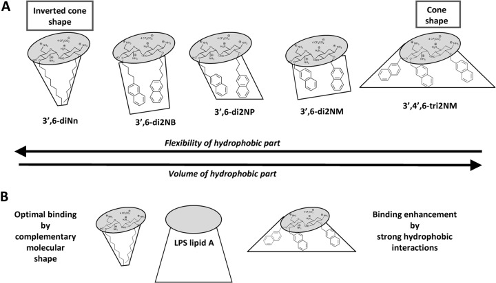 FIG 10