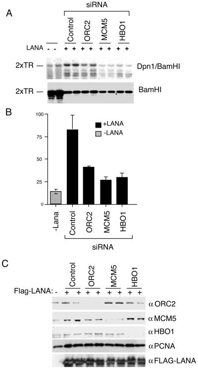 FIG. 7.