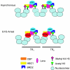 FIG. 8.