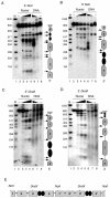 FIG. 4.