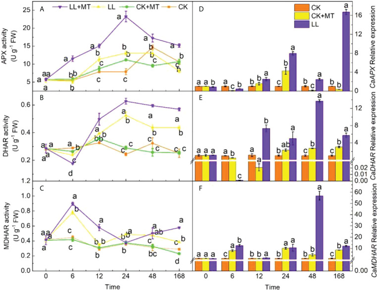 Figure 5