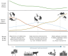 Compositional shifts in host and disease diversity under intensifying land use.