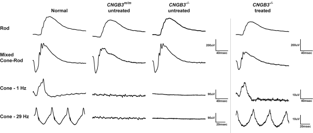 Figure 1.