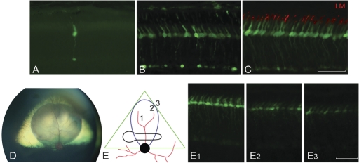 Figure 3.